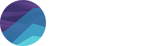Data Dune Business Intelligence logo